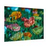 92408-427.jpg Colorful Blooming Poppies Poster