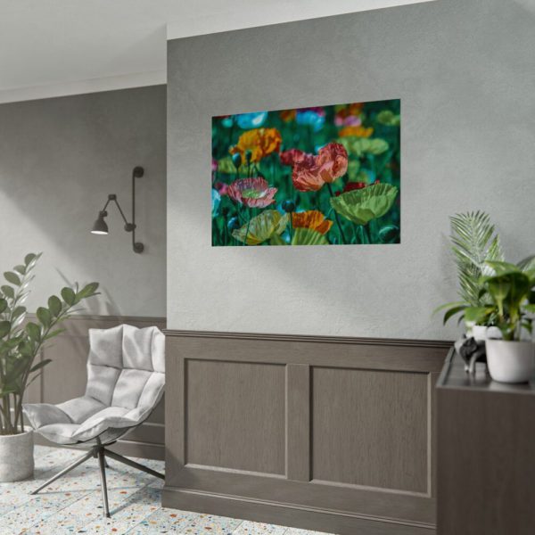 92408-429.jpg Colorful Blooming Poppies Poster