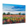 Red Poppy Field Poster