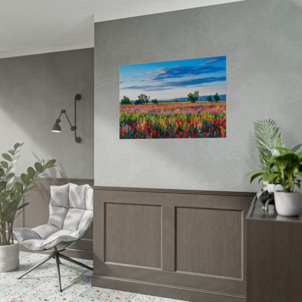 Red Poppy Field Poster