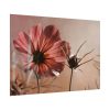 92408-457.jpg Pink Cosmos II Poster