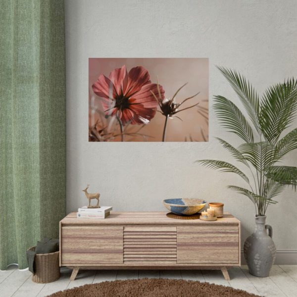 92408-458.jpg Pink Cosmos II Poster