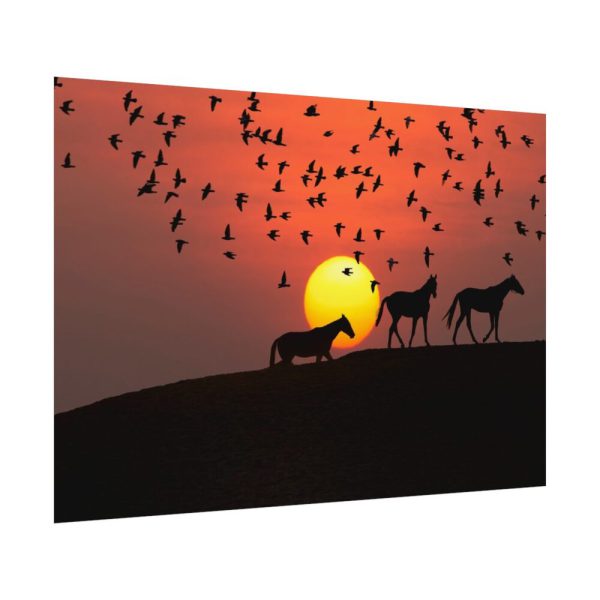 92408-47.jpg Horse Silhouette During Sunset Poster