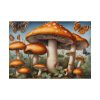 92408-500.jpg Mushrooms Butterfly Forest Art Poster