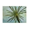 92408-505.jpg Vintage Palm Tree Canopy And Sky Poster