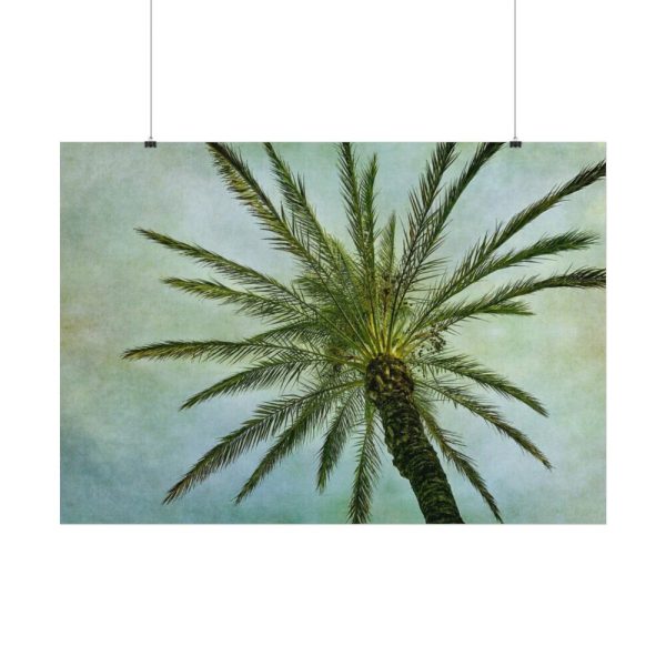92408-506.jpg Vintage Palm Tree Canopy And Sky Poster