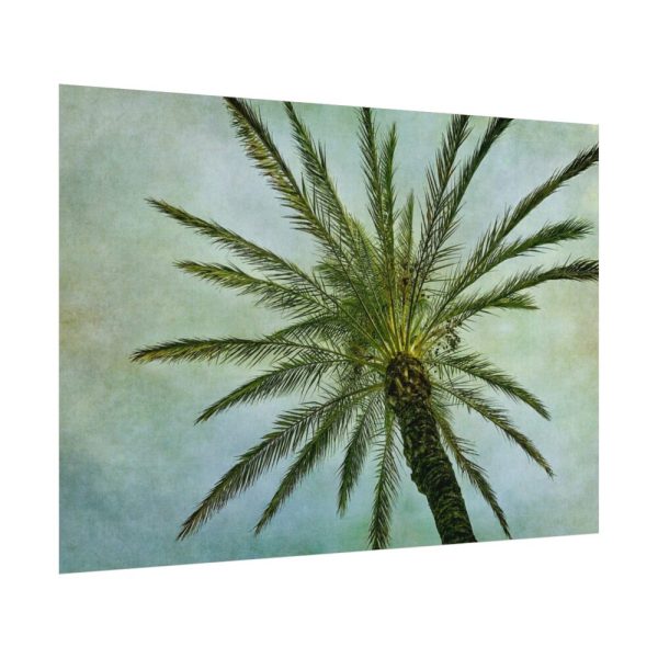 92408-507.jpg Vintage Palm Tree Canopy And Sky Poster