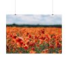 92408-566.jpg Beautiful Red Field Poster