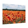 92408-567.jpg Beautiful Red Field Poster