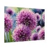 92408-592.jpg Ornamental Allium Flower Poster