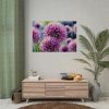 92408-593.jpg Ornamental Allium Flower Poster