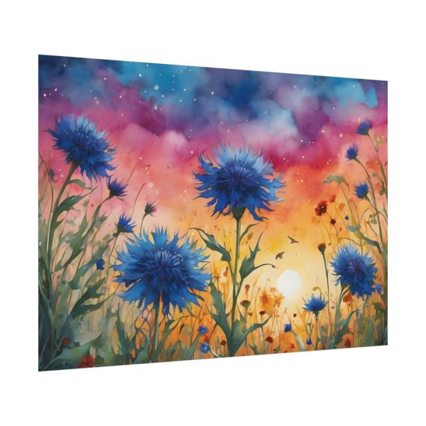 Flower Meadow Cornflowers Art Poster