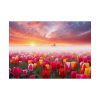 Tulip Field In The Morning Poster