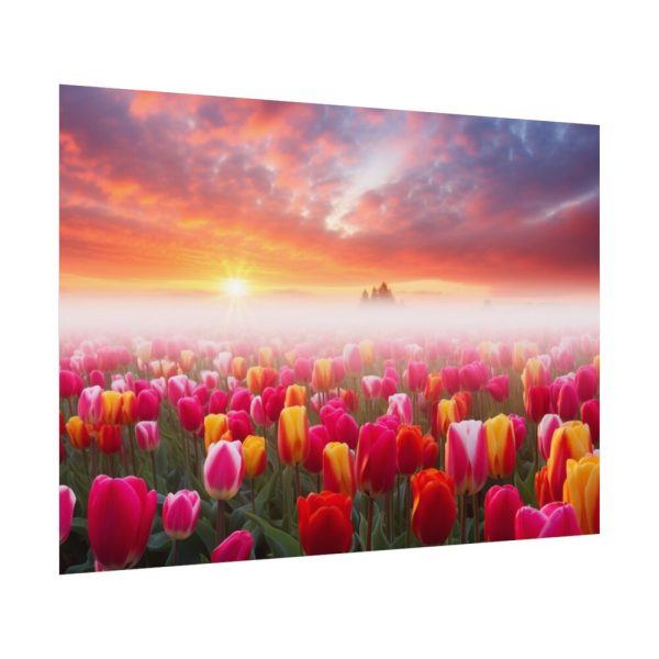 Tulip Field In The Morning Poster