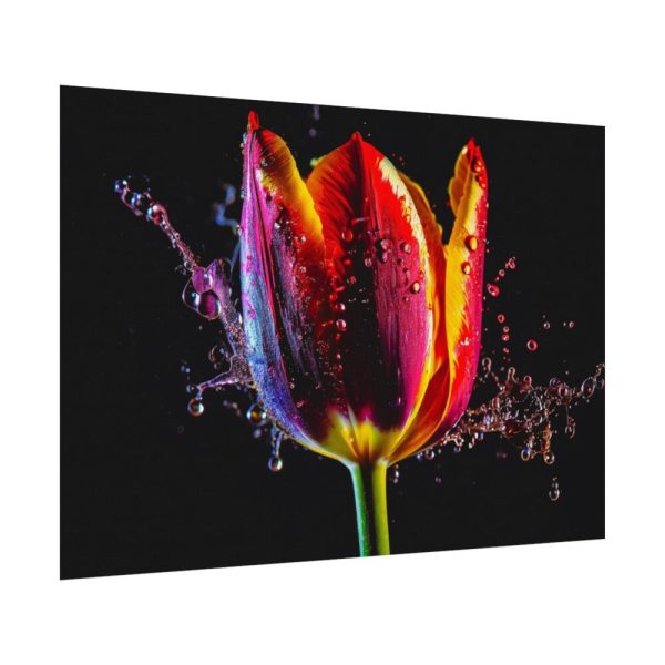 92408-627.jpg Close-up Shot Tulip Poster