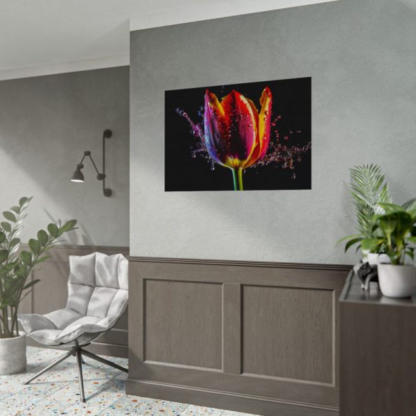 92408-629.jpg Close-up Shot Tulip Poster