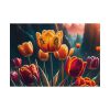 Yellow Tulips Flower Poster