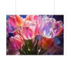 Beautiful Pink Tulips Flowers Poster