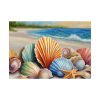 Seashells On Sandy Beach Poster