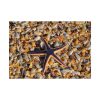 Starfish And Shells Poster