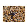 Starfish And Shells Poster