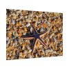 Starfish And Shells Poster