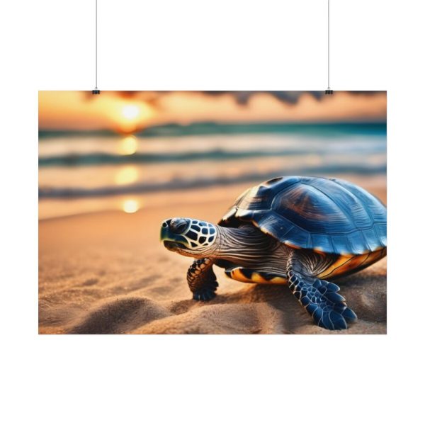 Marine Turtle Beach Sea Poster