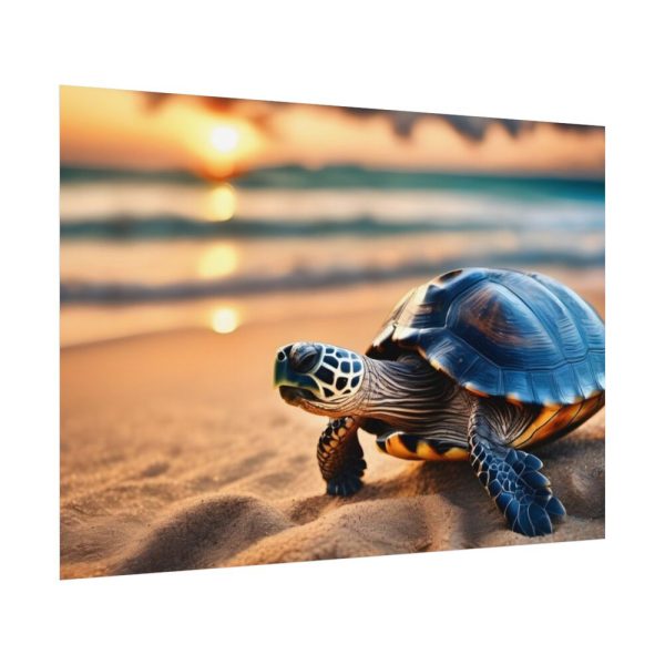Marine Turtle Beach Sea Poster
