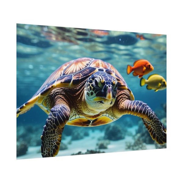 Swimming Sea Turtle Poster