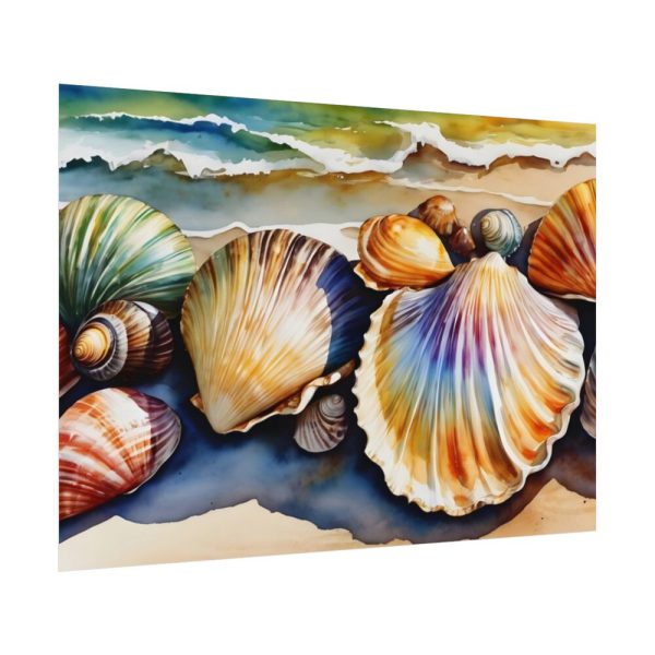 92408-792.jpg Shells Beach Sea Maritime Poster