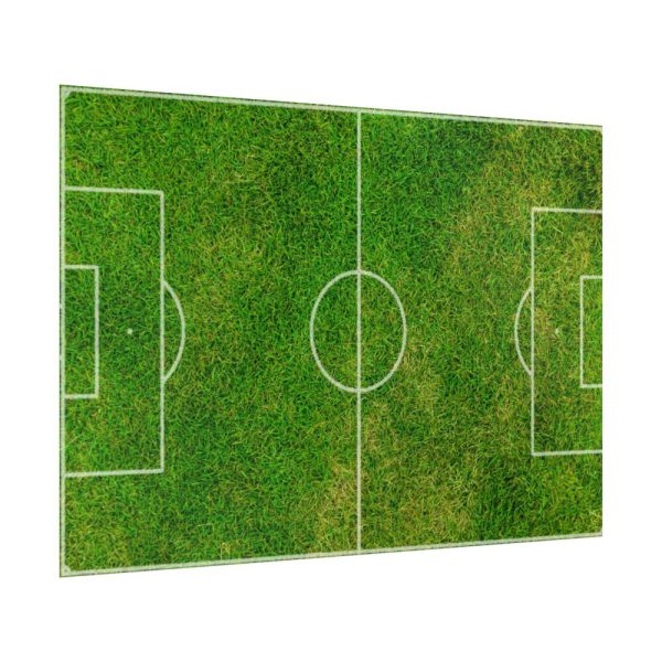 Soccer Field Poster