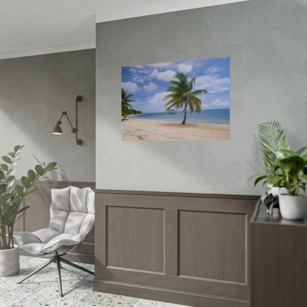 Coast With Palm Tree Poster