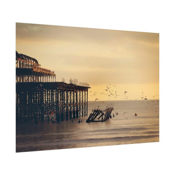 Pier Seagull Ocean Poster