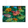 92409-426.jpg Colorful Blooming Poppies Poster