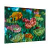 92409-427.jpg Colorful Blooming Poppies Poster