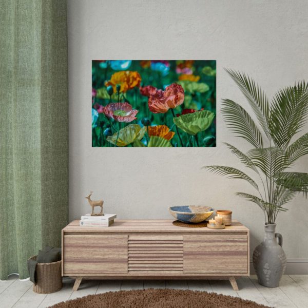 92409-428.jpg Colorful Blooming Poppies Poster