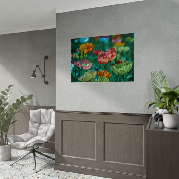 92409-429.jpg Colorful Blooming Poppies Poster