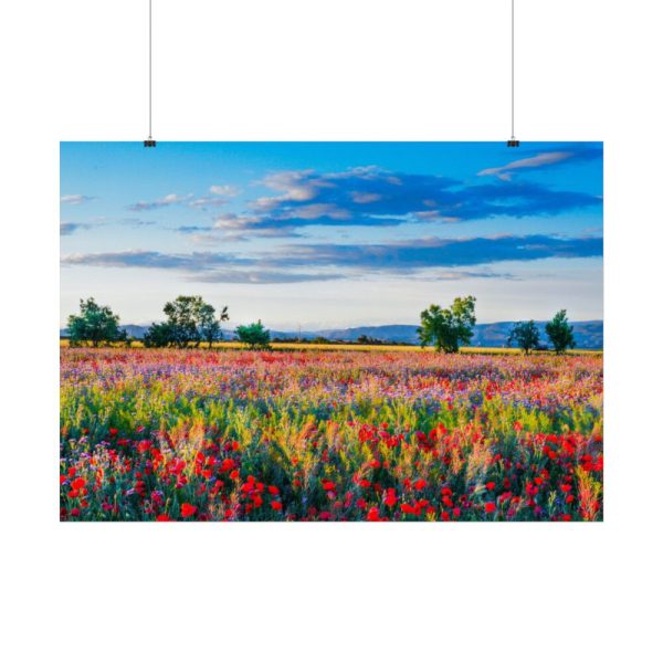 Red Poppy Field Poster
