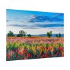 Red Poppy Field Poster