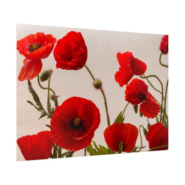 92409-437.jpg Red Poppy Poster