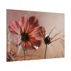 92409-457.jpg Pink Cosmos II Poster