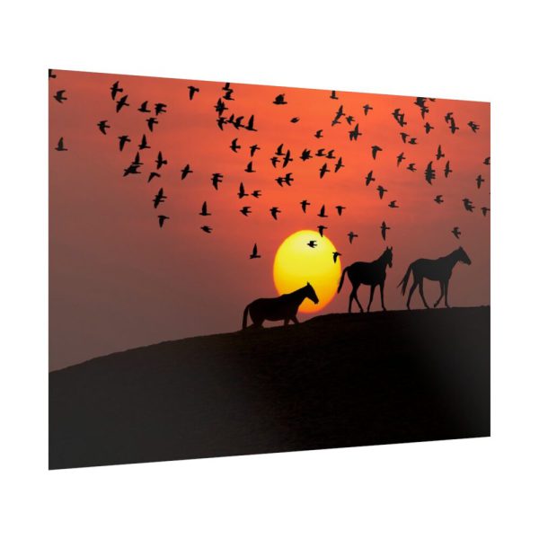 92409-47.jpg Horse Silhouette During Sunset Poster