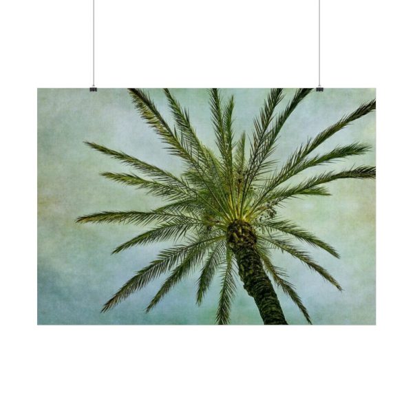 92409-506.jpg Vintage Palm Tree Canopy And Sky Poster