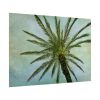92409-507.jpg Vintage Palm Tree Canopy And Sky Poster
