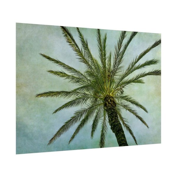92409-507.jpg Vintage Palm Tree Canopy And Sky Poster