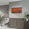 92409-569.jpg Beautiful Red Field Poster