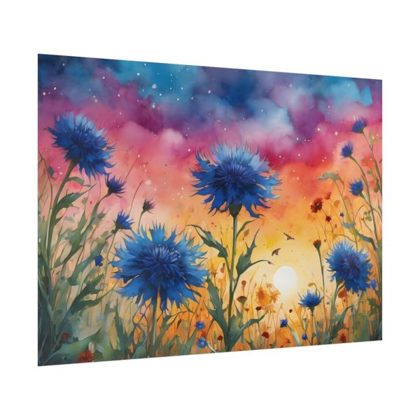 Flower Meadow Cornflowers Art Poster