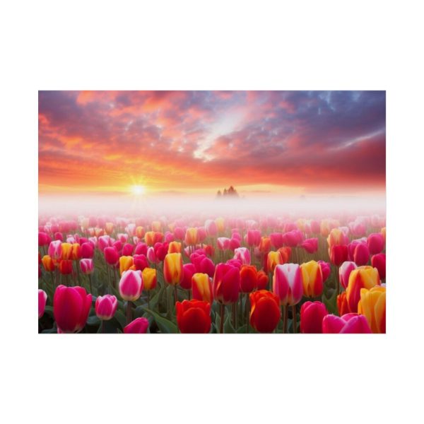 Tulip Field In The Morning Poster
