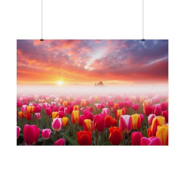 Tulip Field In The Morning Poster
