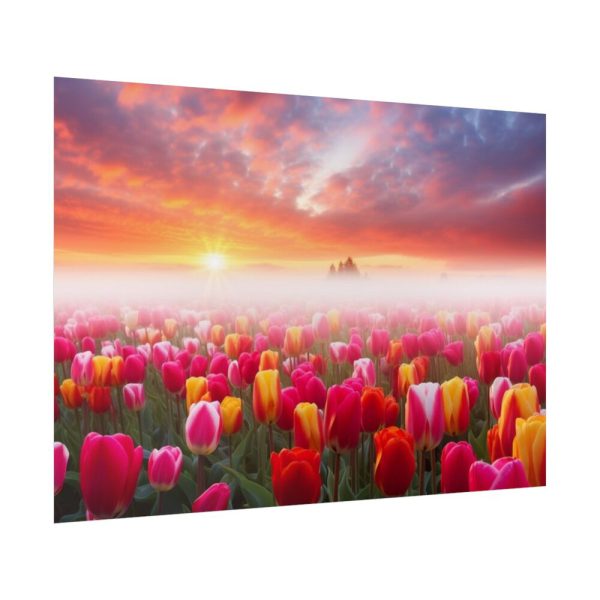 Tulip Field In The Morning Poster